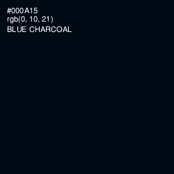 #000A15 - Blue Charcoal Color Image